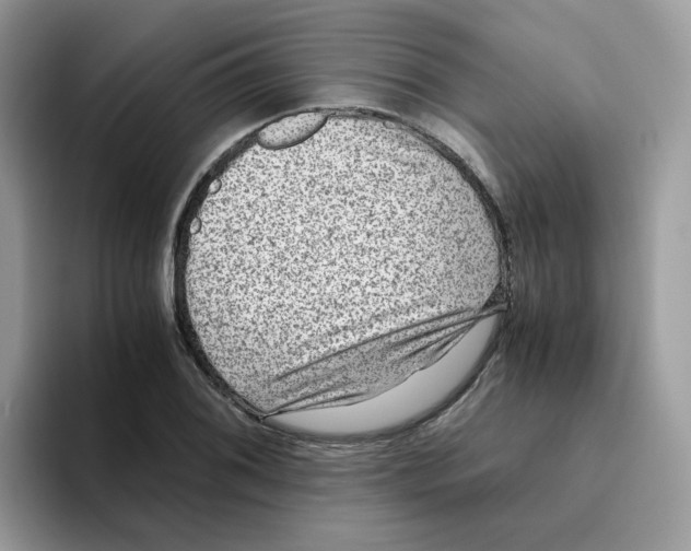 X0000093491076200711091640