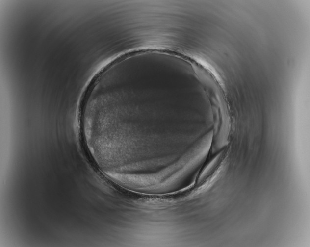 X0000093491077200711091640