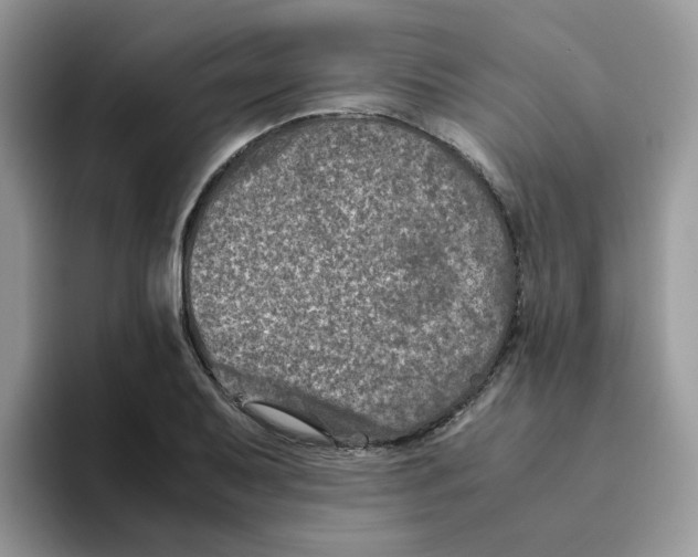 X0000093491079200711091640