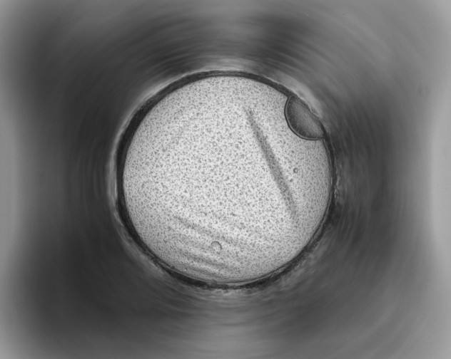 X0000093491080200711091640