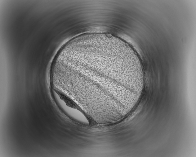 X0000093491083200711091640