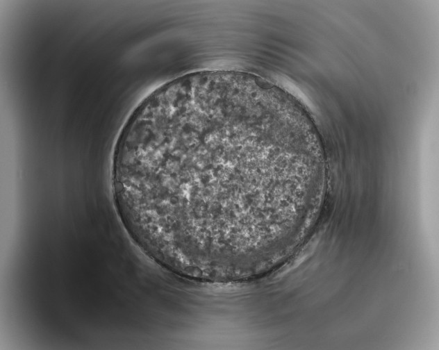 X0000093491087200711091640