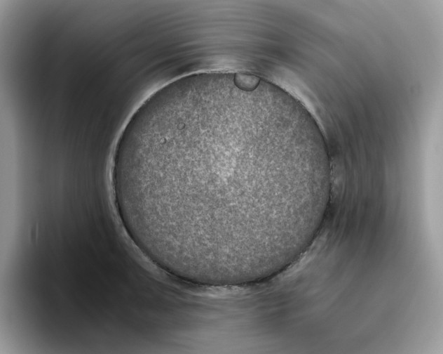 X0000093491091200711091640