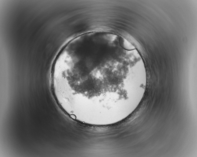 X0000093491095200711091640