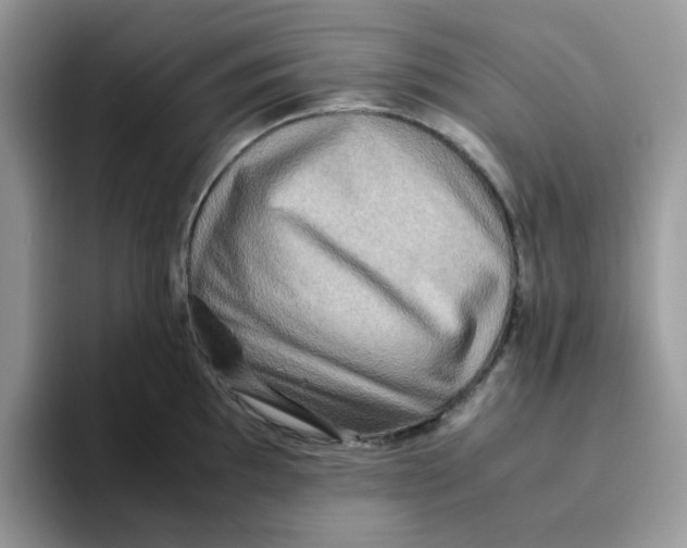 X0000093491097200711091640