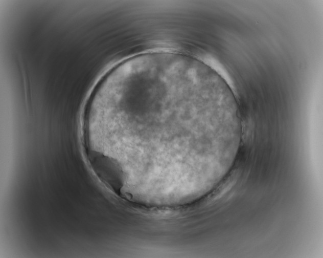 X0000093491099200711091640