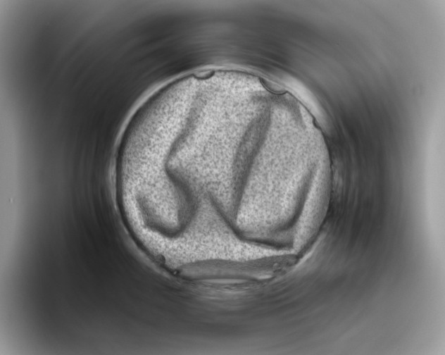 X0000093491100200711091640