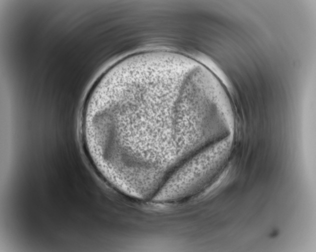 X0000093491101200711091640