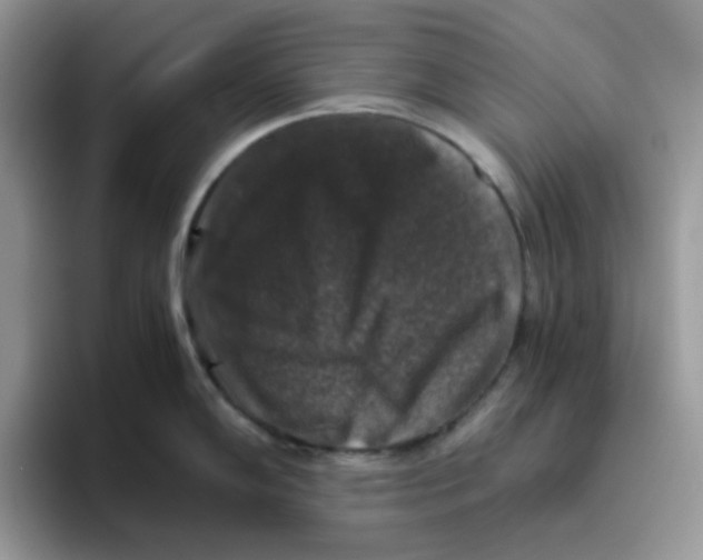 X0000093491102200711091640