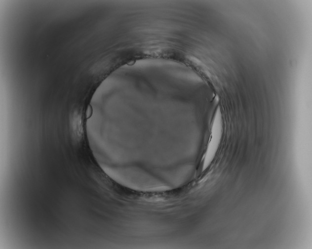 X0000093491106200711091639