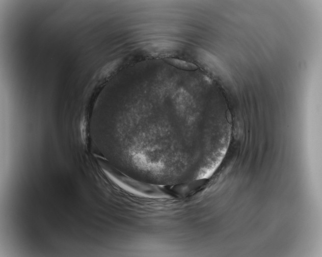 X0000093491108200711091640