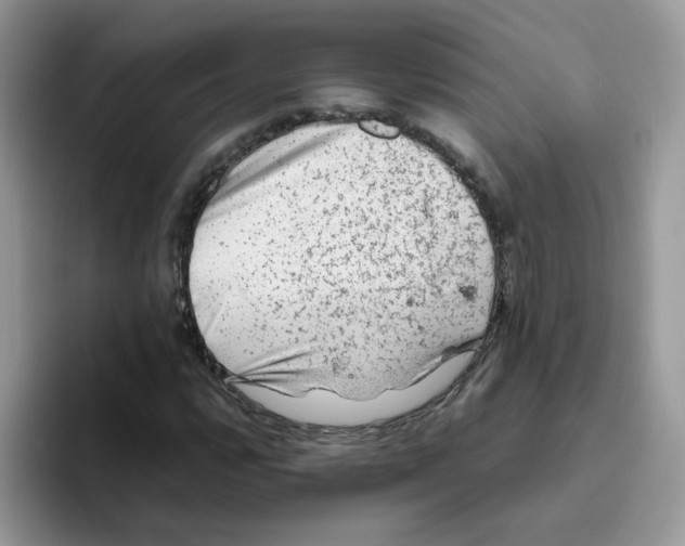 X0000093491112200711091640