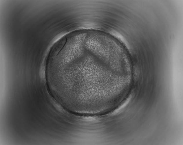 X0000093491114200711091640