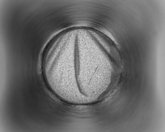 X0000093491116200711091640