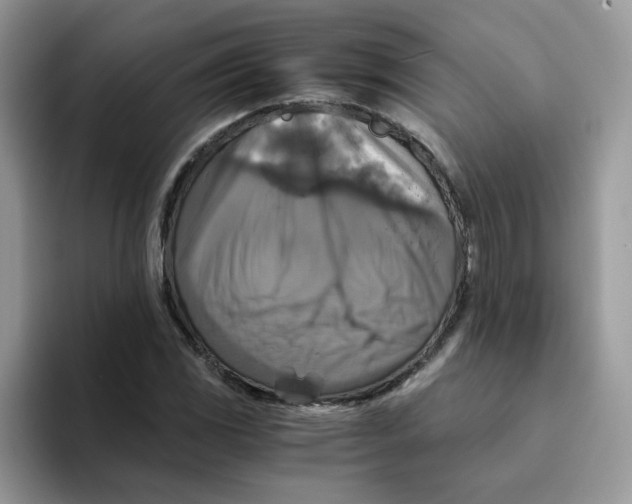 X0000093491117200711091640