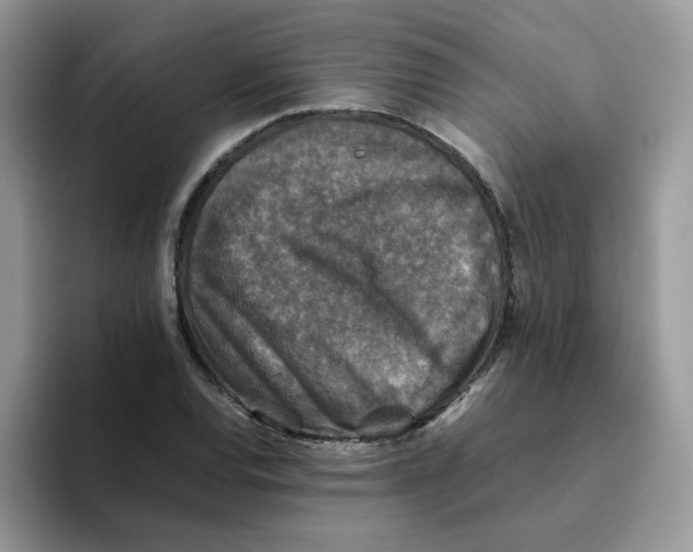 X0000093491120200711091640