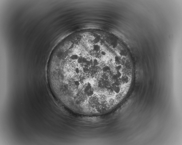 X0000093491121200711091640