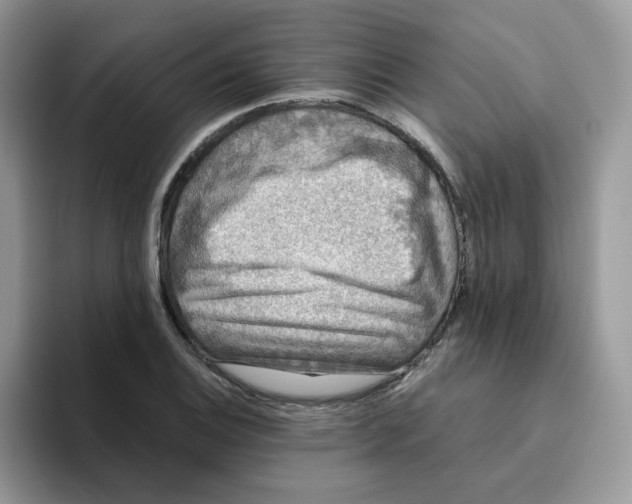 X0000093491124200711091640