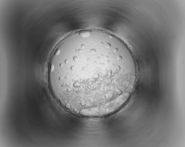 X0000093491126200711091640