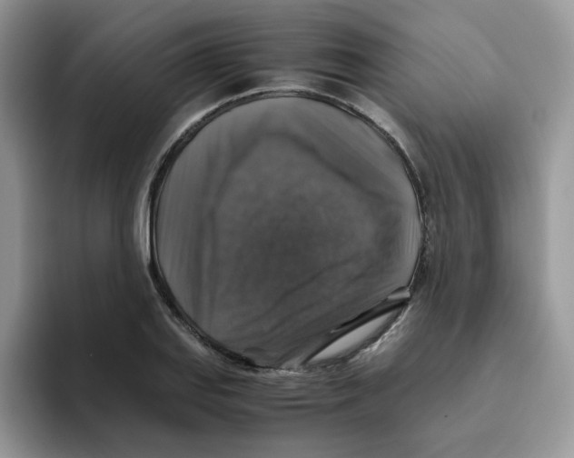 X0000093491127200711091640