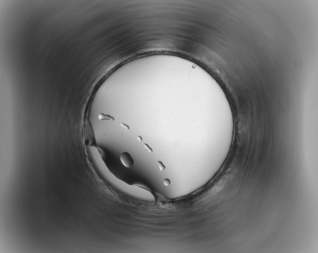 X0000093491129200711091640