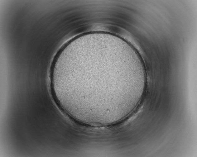 X0000093491133200711091640