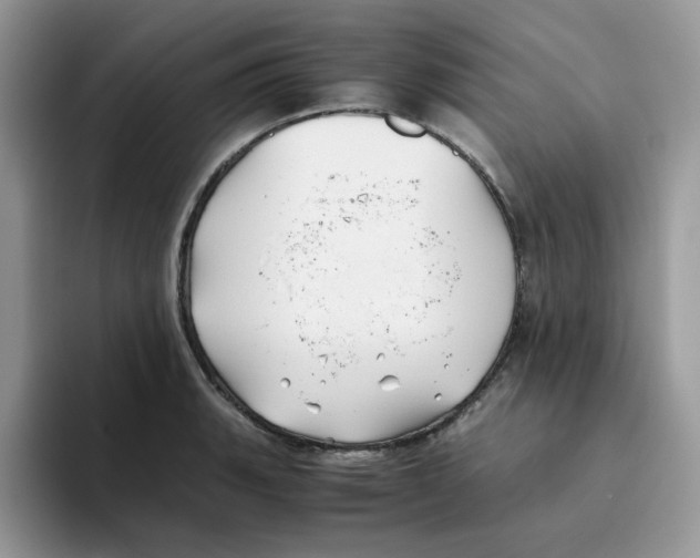 X0000093491135200711091640