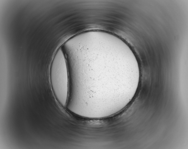 X0000093491137200711091640