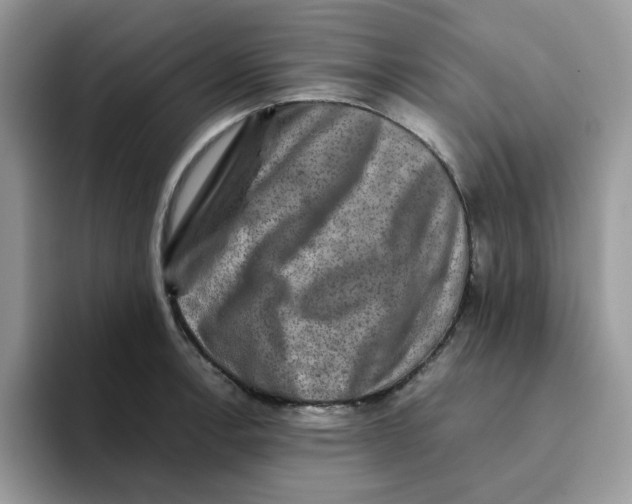 X0000093491138200711091640