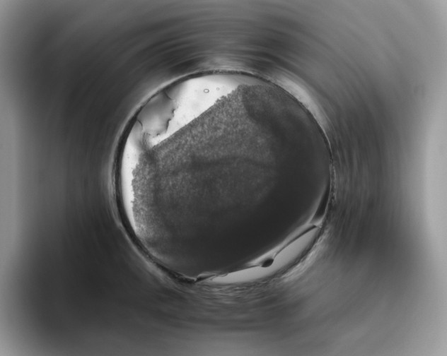 X0000093491141200711091640