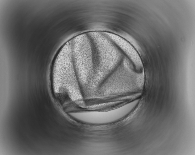 X0000093491142200711091640