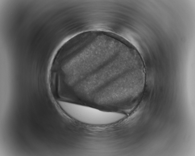 X0000093491144200711091640