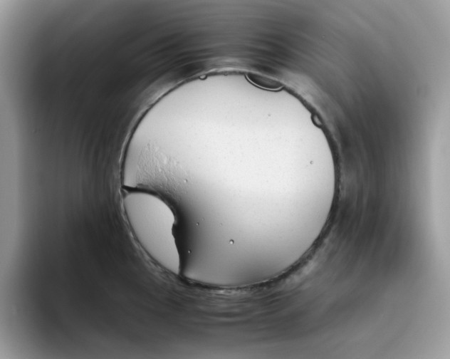 X0000093491145200711091640