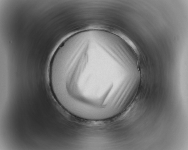 X0000093491148200711091640