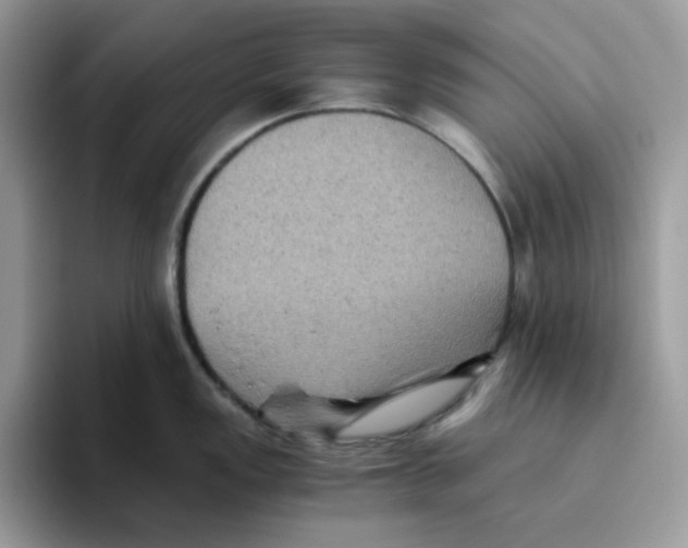 X0000093491149200711091640