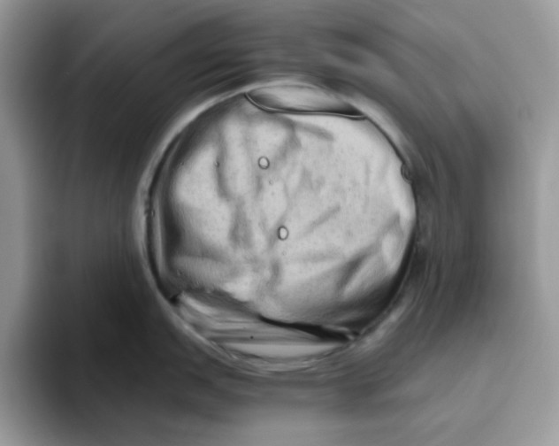 X0000093491151200711091640