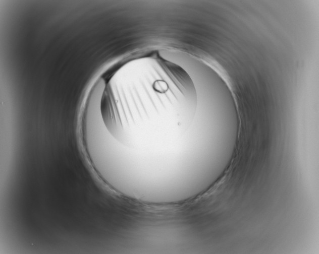 X0000093491152200711091640