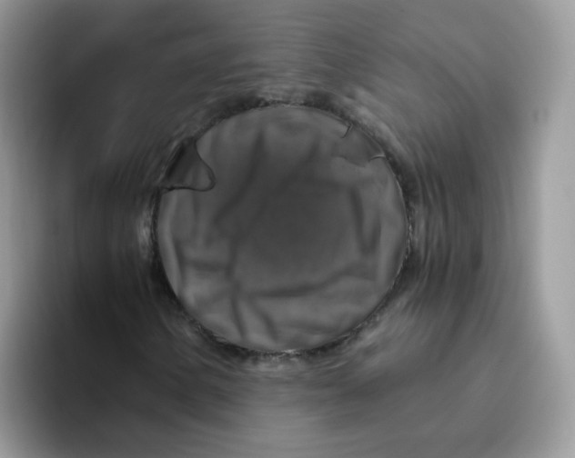 X0000093491154200711091639