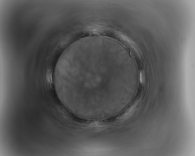 X0000093491155200711091639