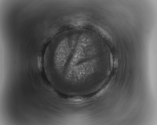 X0000093491156200711091639