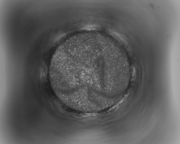 X0000093491158200711091639