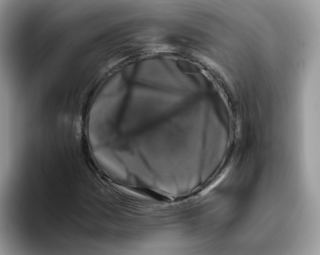 X0000093491161200711091639