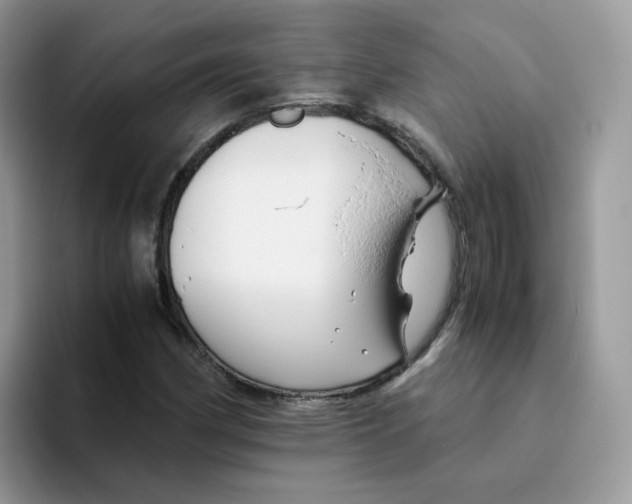 X0000093491162200711091639