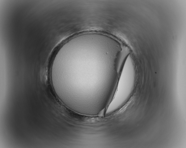 X0000093491165200711091639