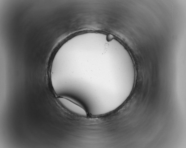 X0000093491168200711091639