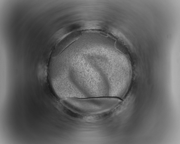 X0000093491169200711091639