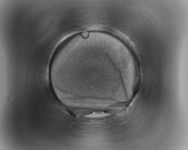 X0000093491174200711091639