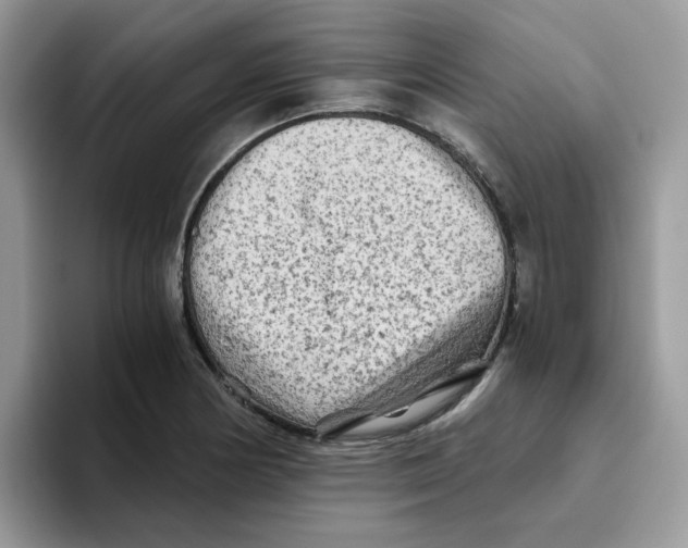 X0000093491178200711091639