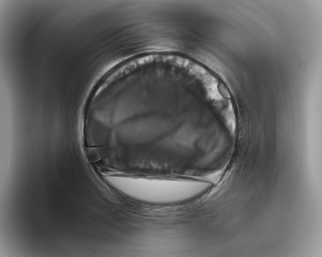 X0000093491179200711091639