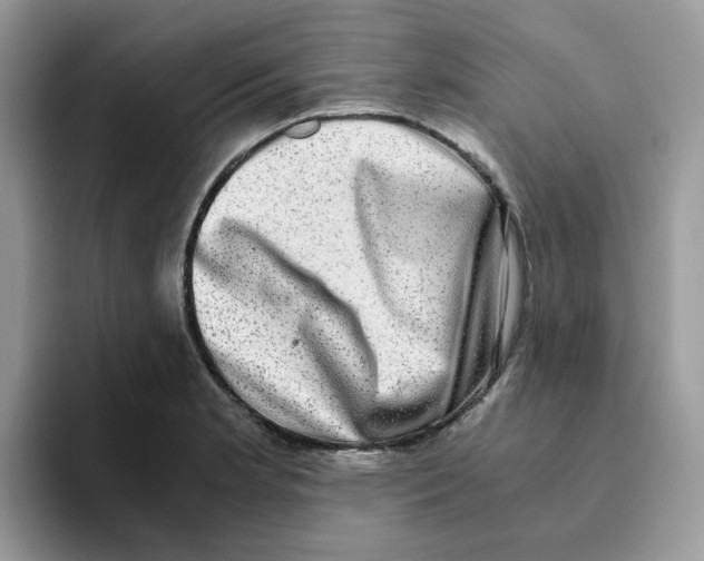 X0000093491181200711091639